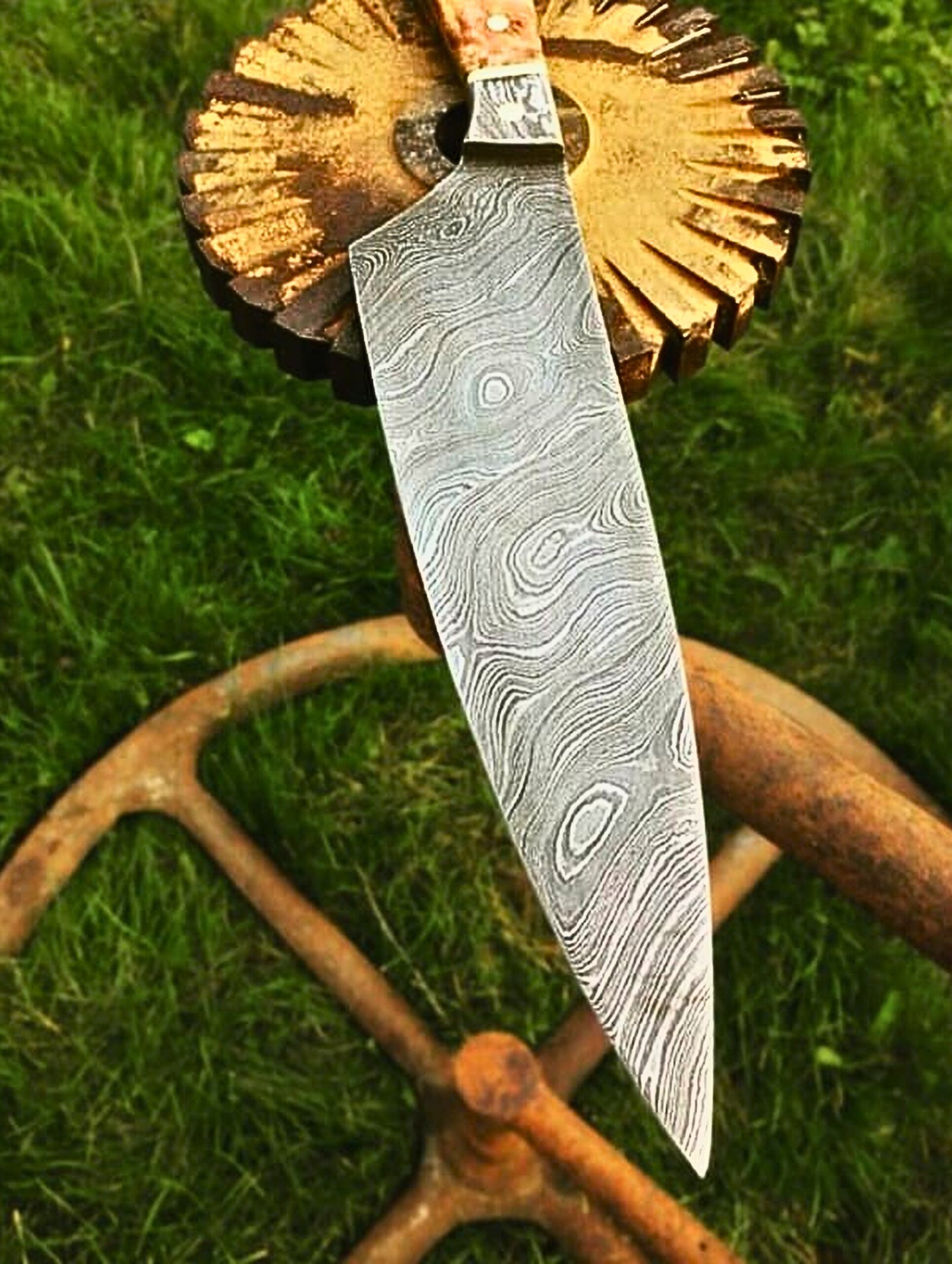 10229848-b2e8-4232-9fac-c0b6a23cb0f1