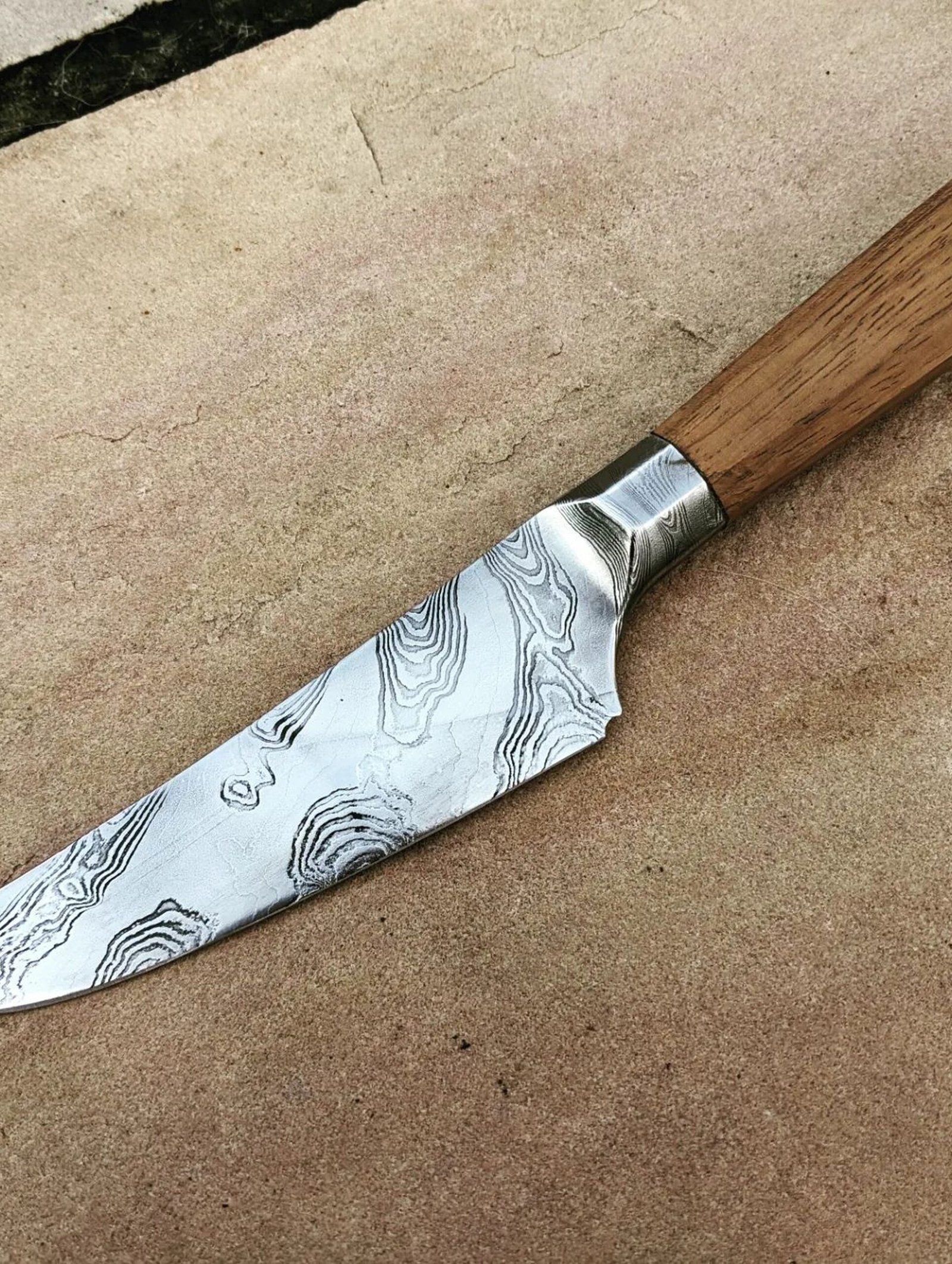 475783056_1577733046506932_884171088181529943_n