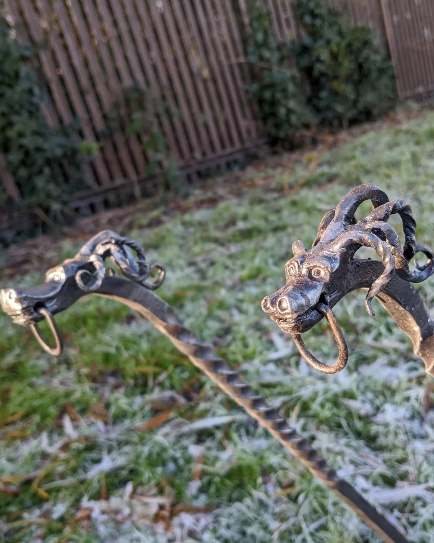 480443050_1591633571783546_7409116204883610445_n