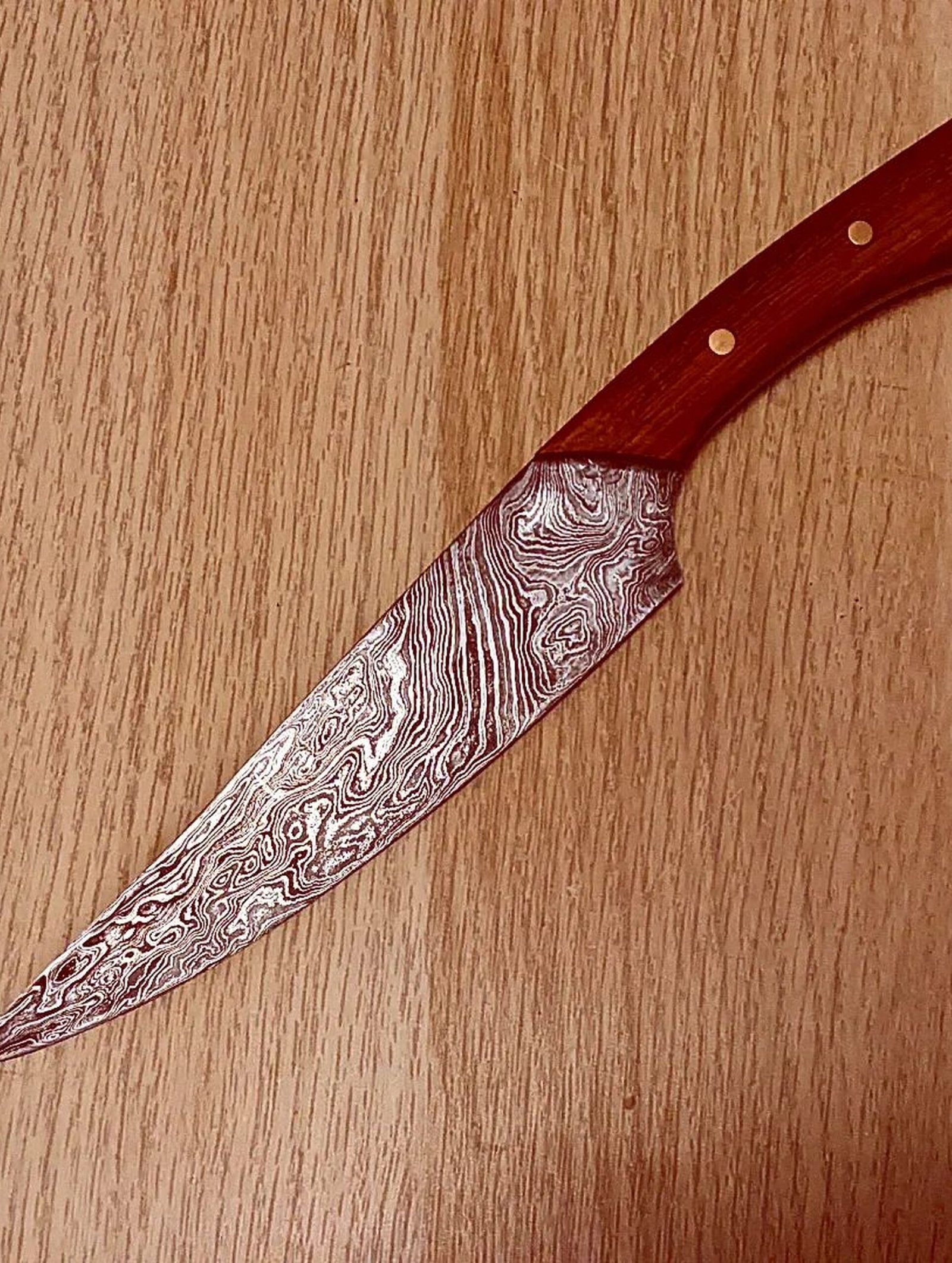 480750884_2569696660028531_7620720261453428819_n