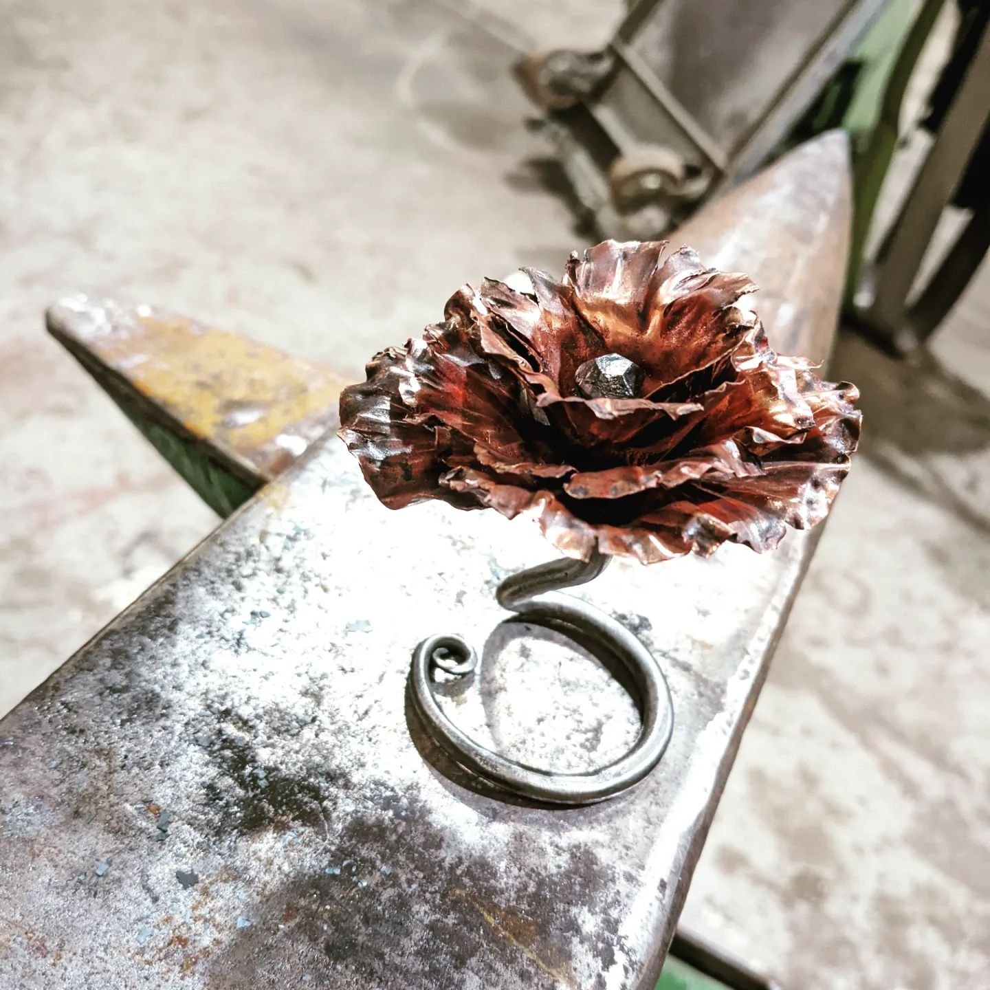 480911163_2575278589470338_7564882429017087554_n