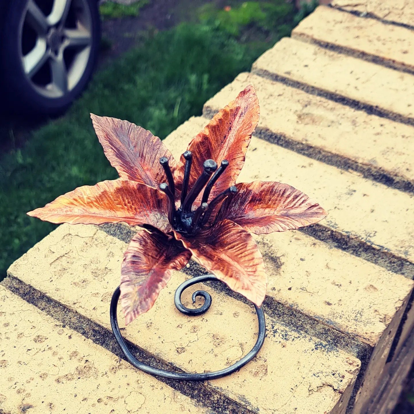 485619412_1616289739317929_6281674869176898103_n