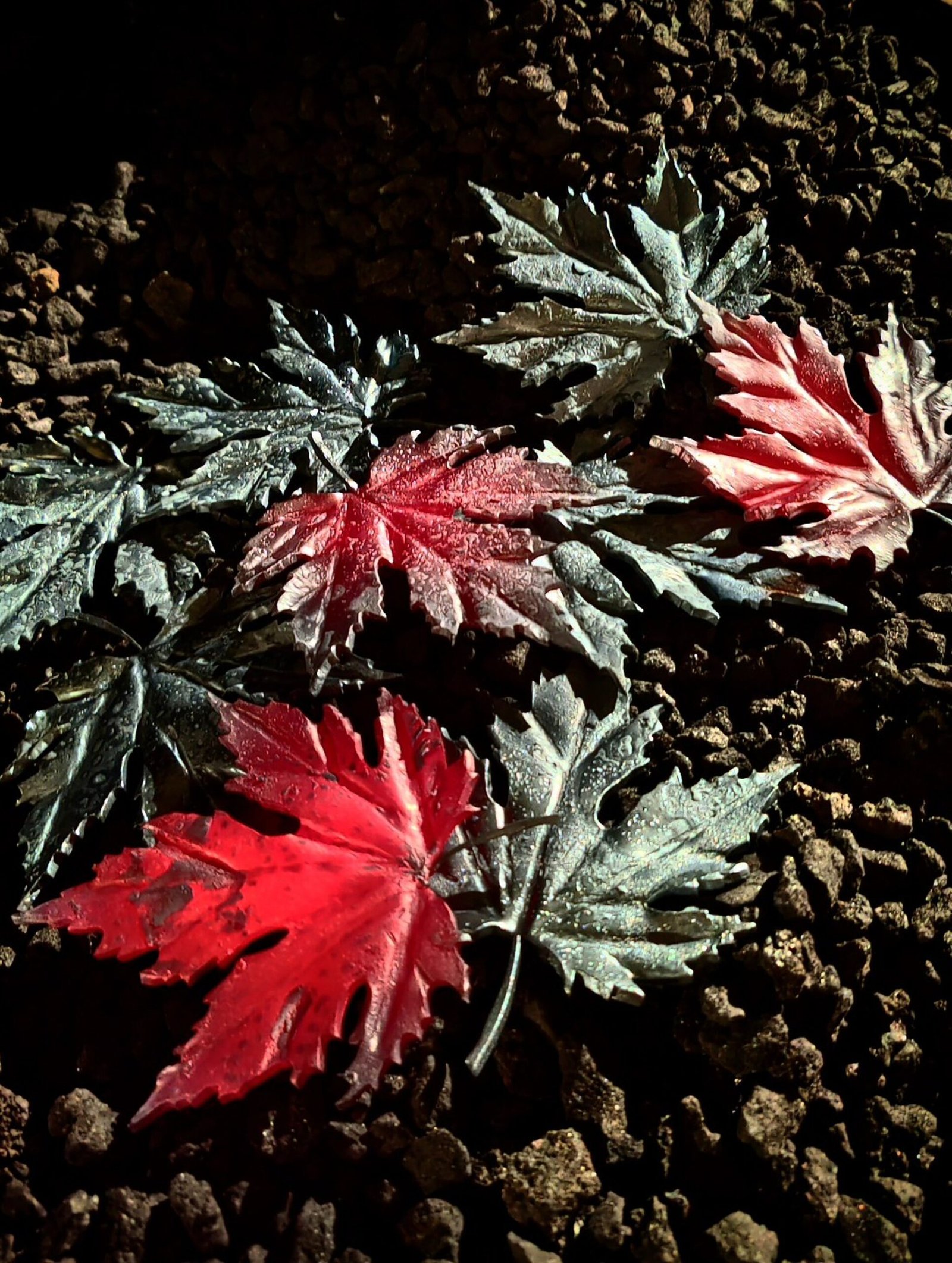 487484956_1628545808092322_5459164114842110673_n_3048x4046