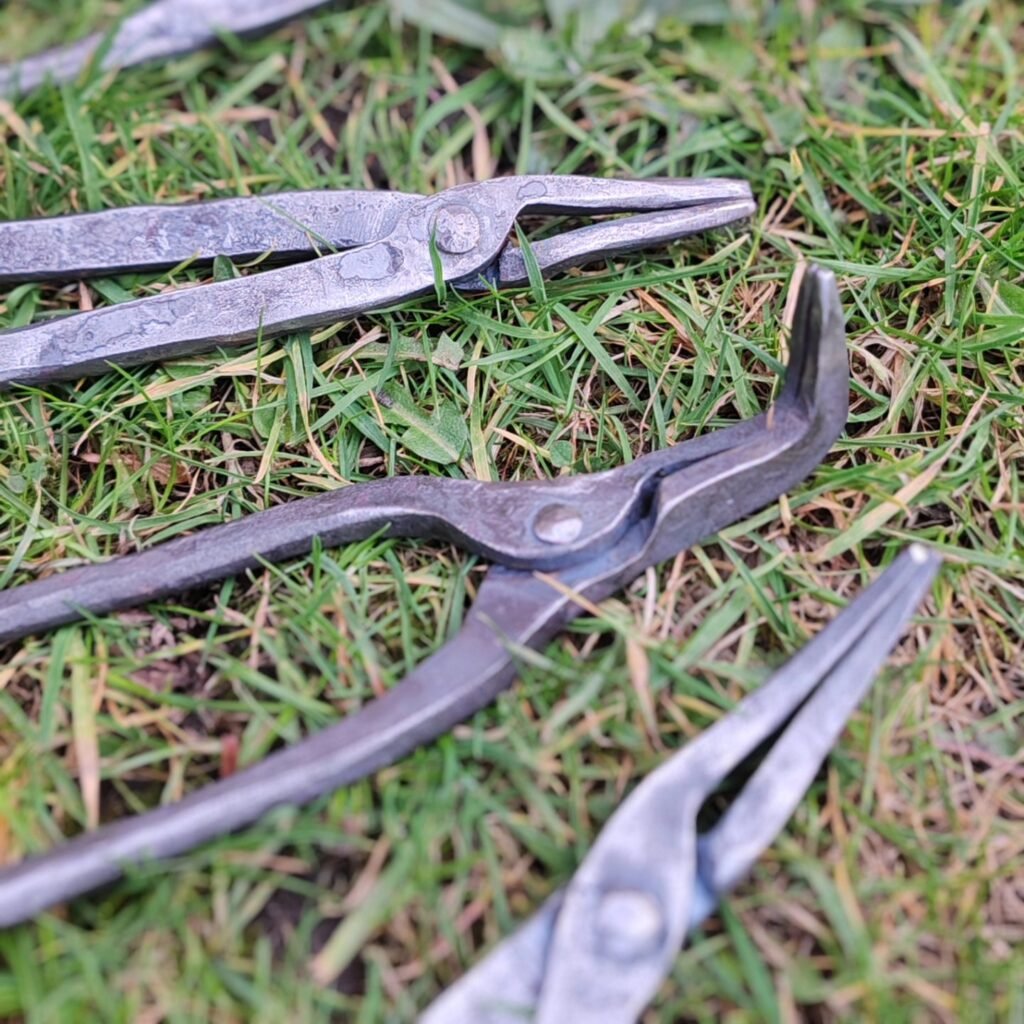 493707254_1648663049413931_874691540483086992_n