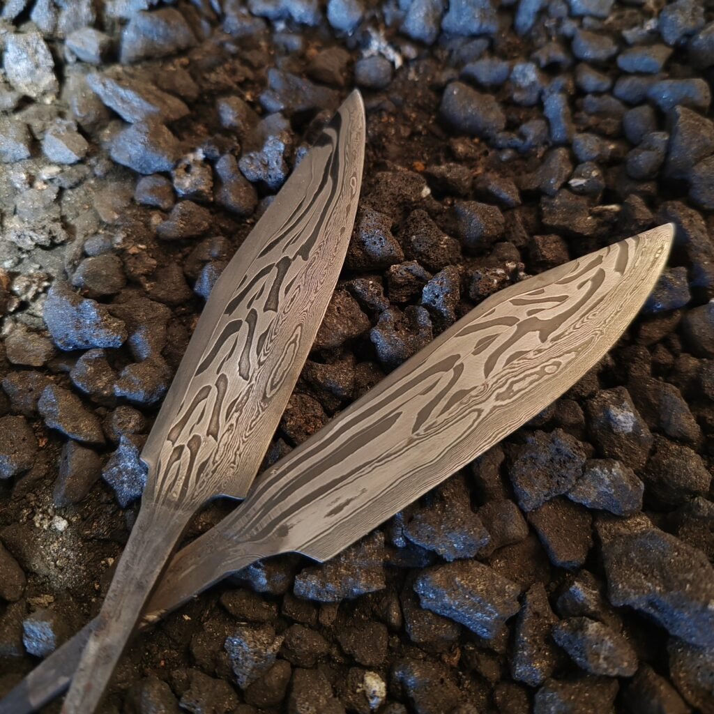 495168323_1653757028904533_9063073869840690981_n