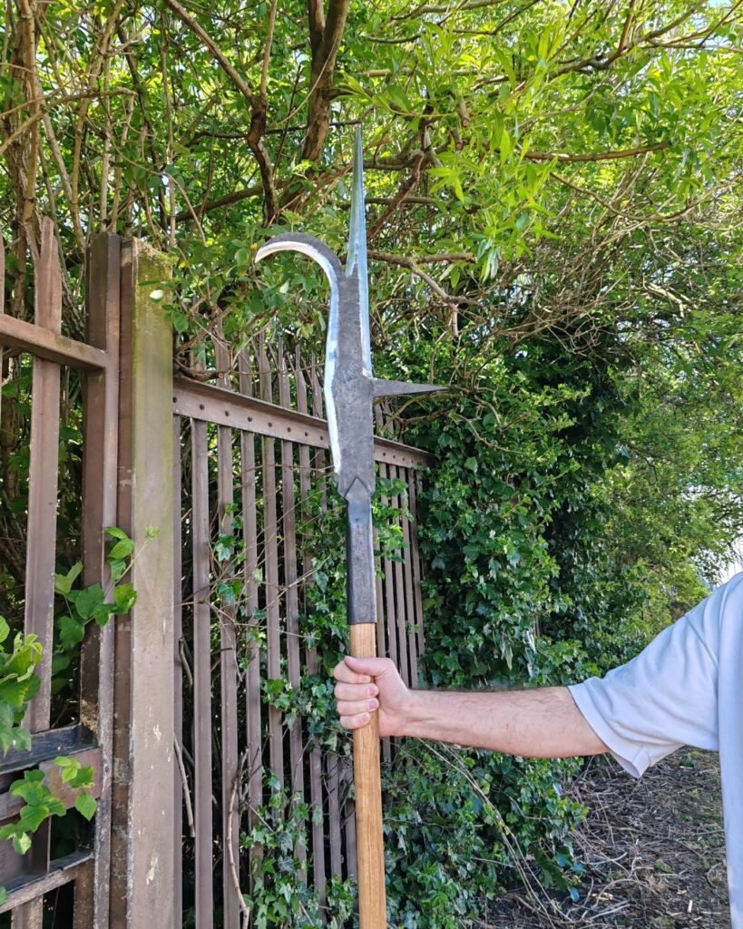 497006221_1662618738018362_8307189611156433464_n