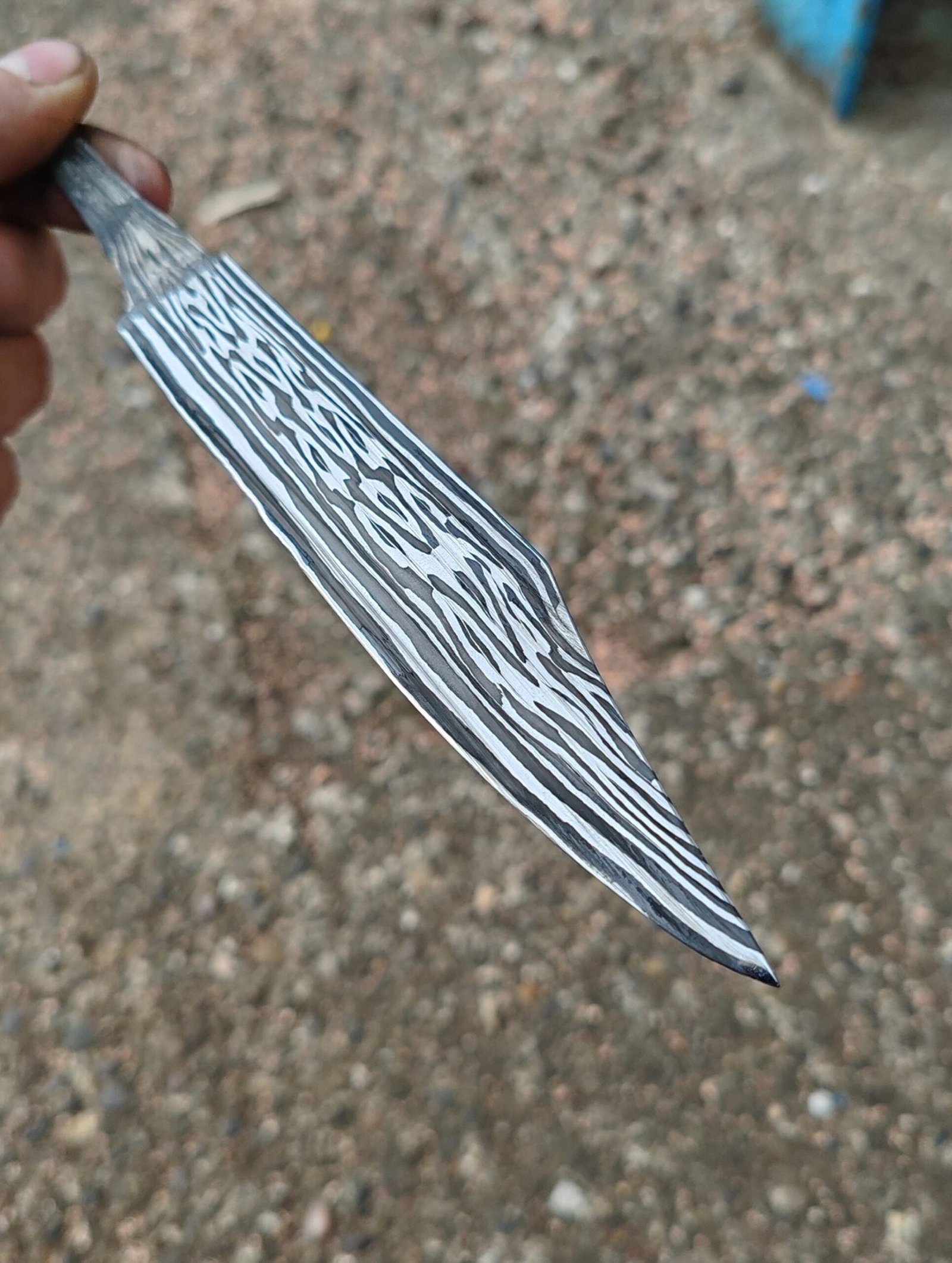 500142332_1673092460304323_904287564823731157_n