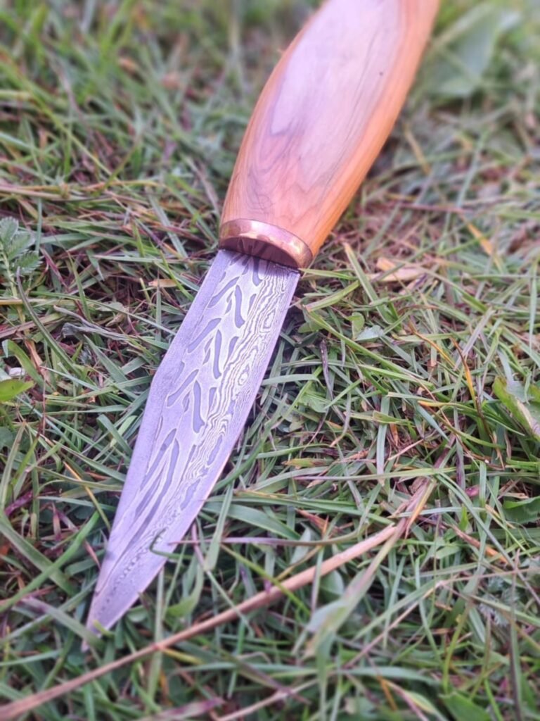 518324485_1713275916285977_7239521522719762481_n