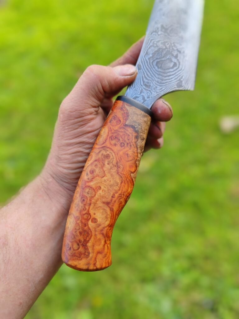 558645756_1786330705647164_1854959415906686320_n