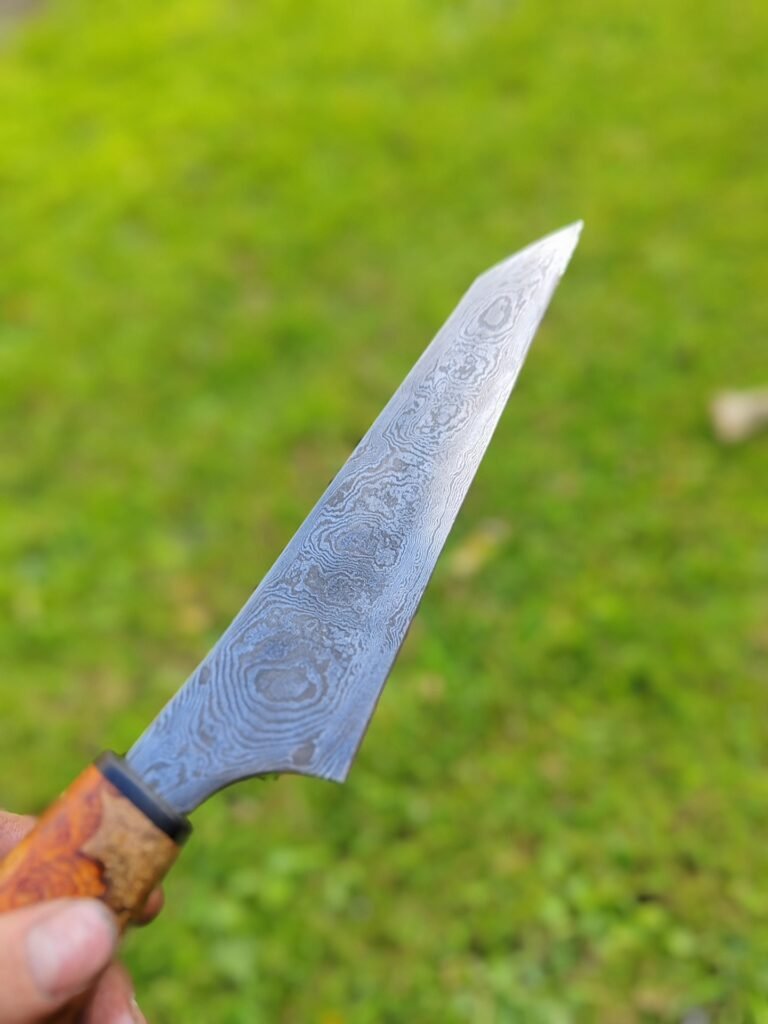 558764070_1786330695647165_2760511325512045458_n