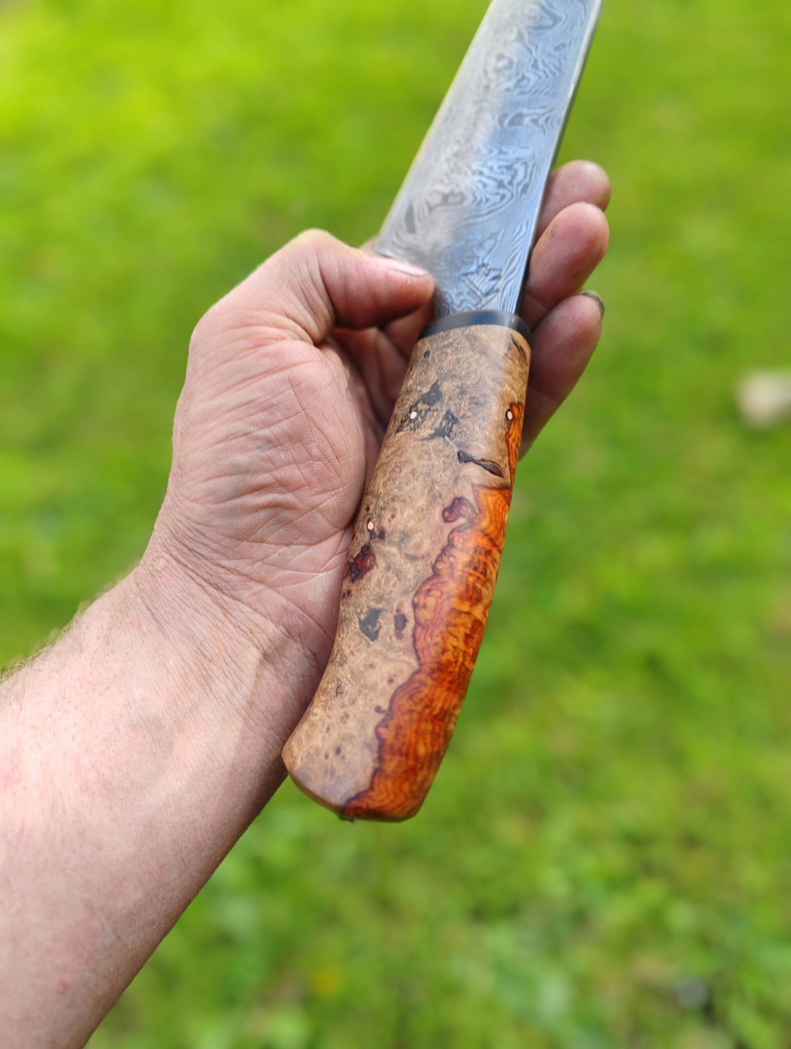 563423595_1786330702313831_4344655884380702587_n