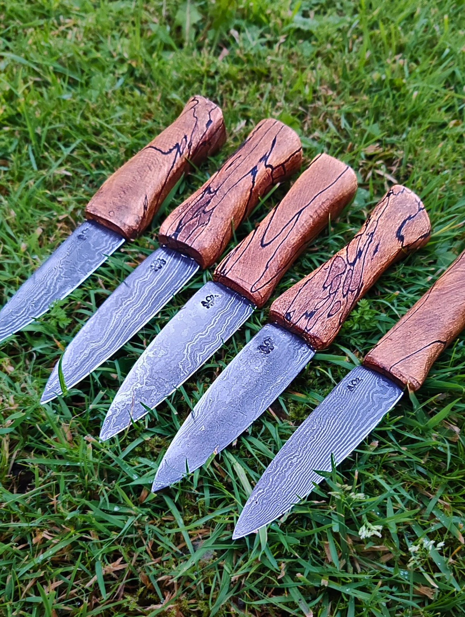 5928dd6d-e72c-4664-a4e9-64bd0446471f