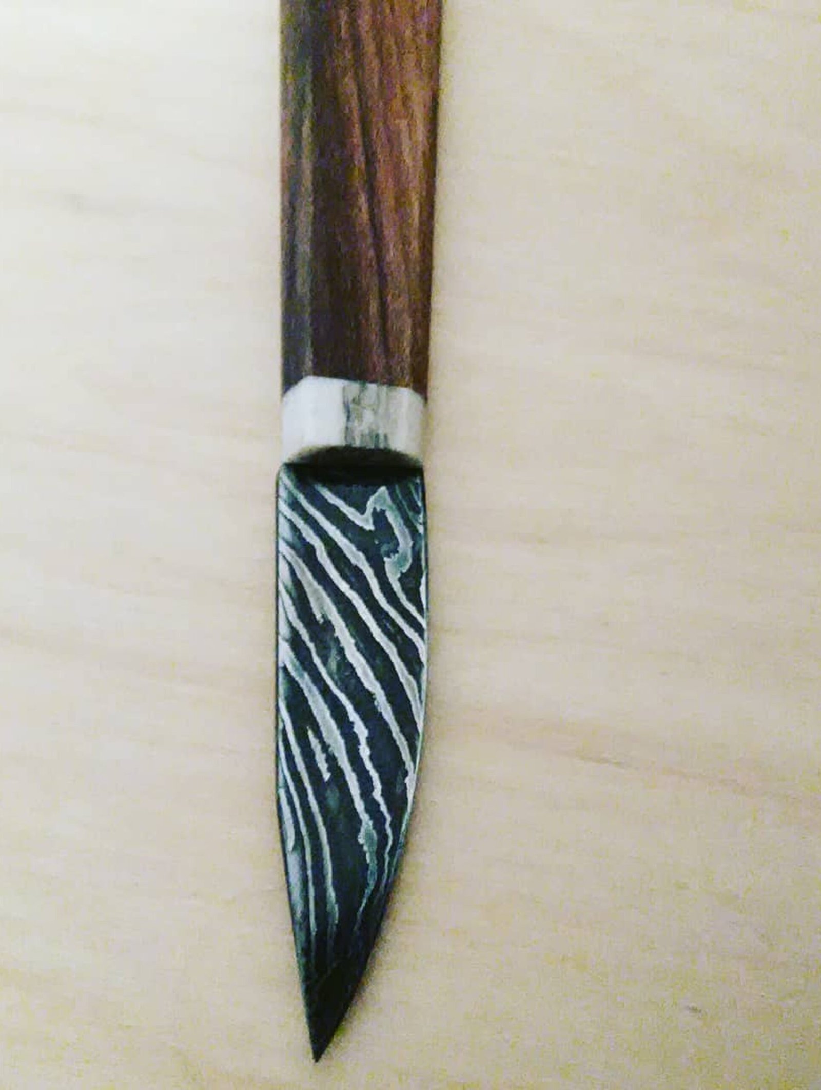 80194504_1101991423465736_960300441948651520_n