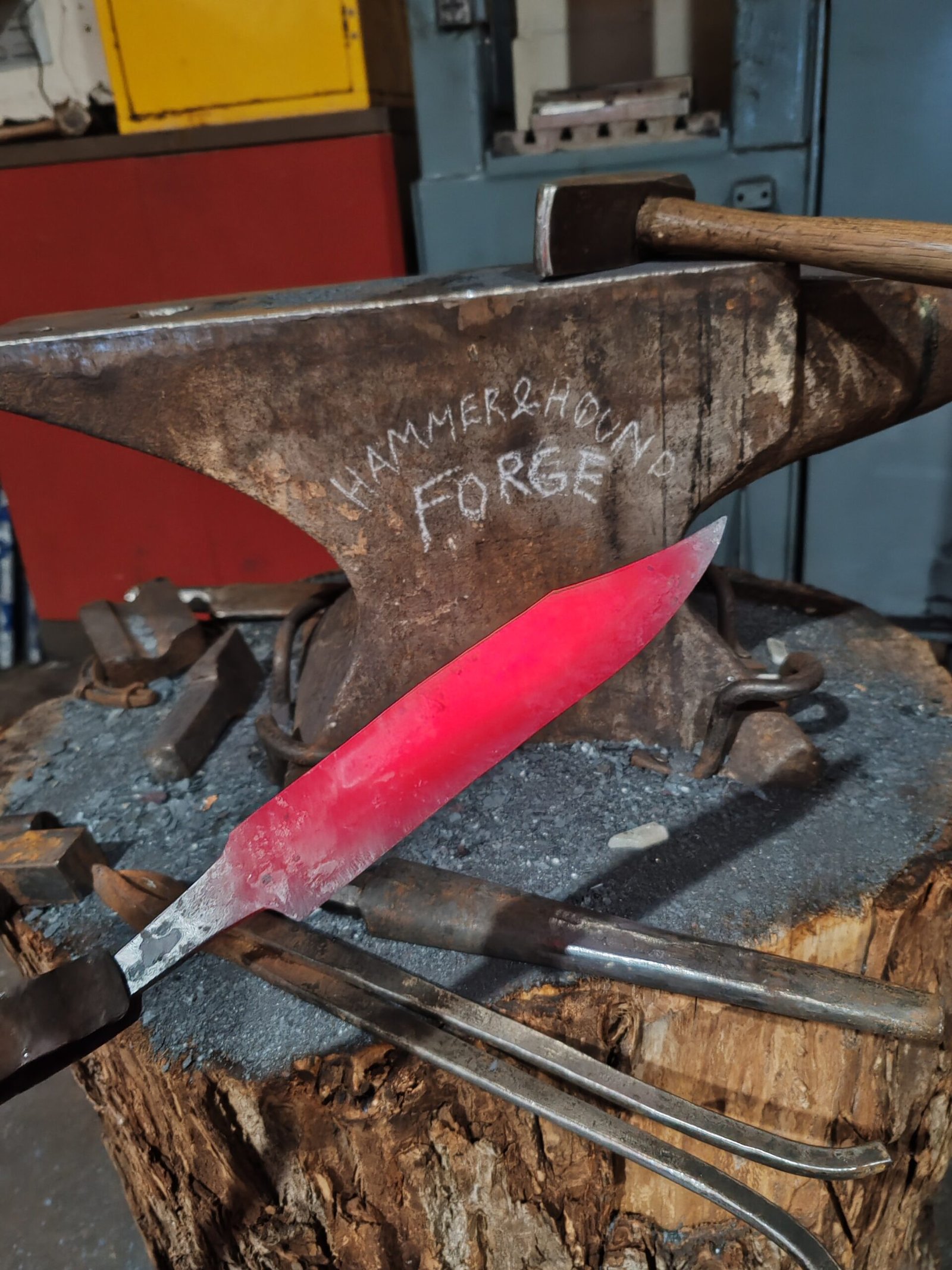 IMG_20260214_170124 IMG_20260214_170124