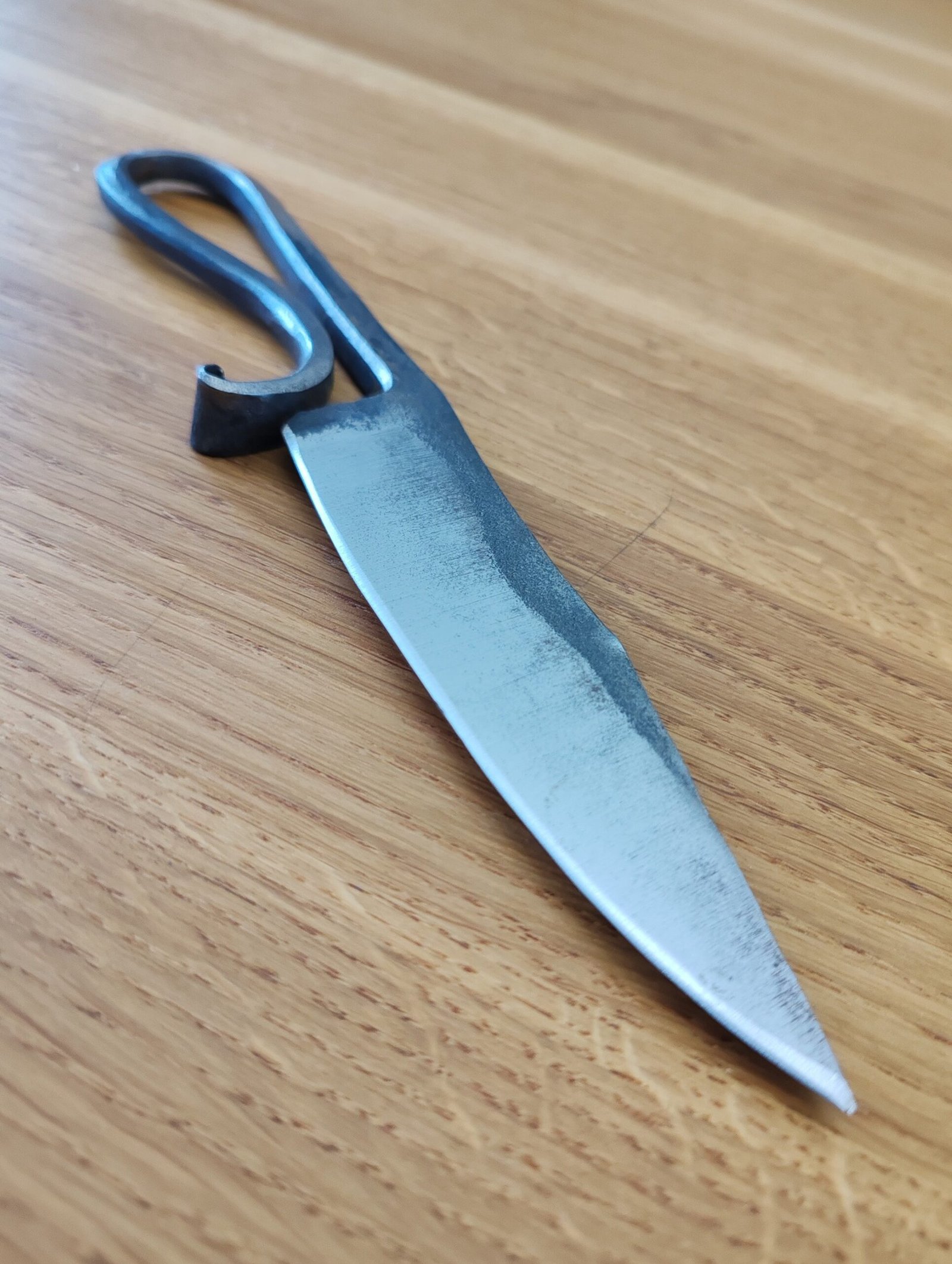 IMG_20260215_161123_3048x4046