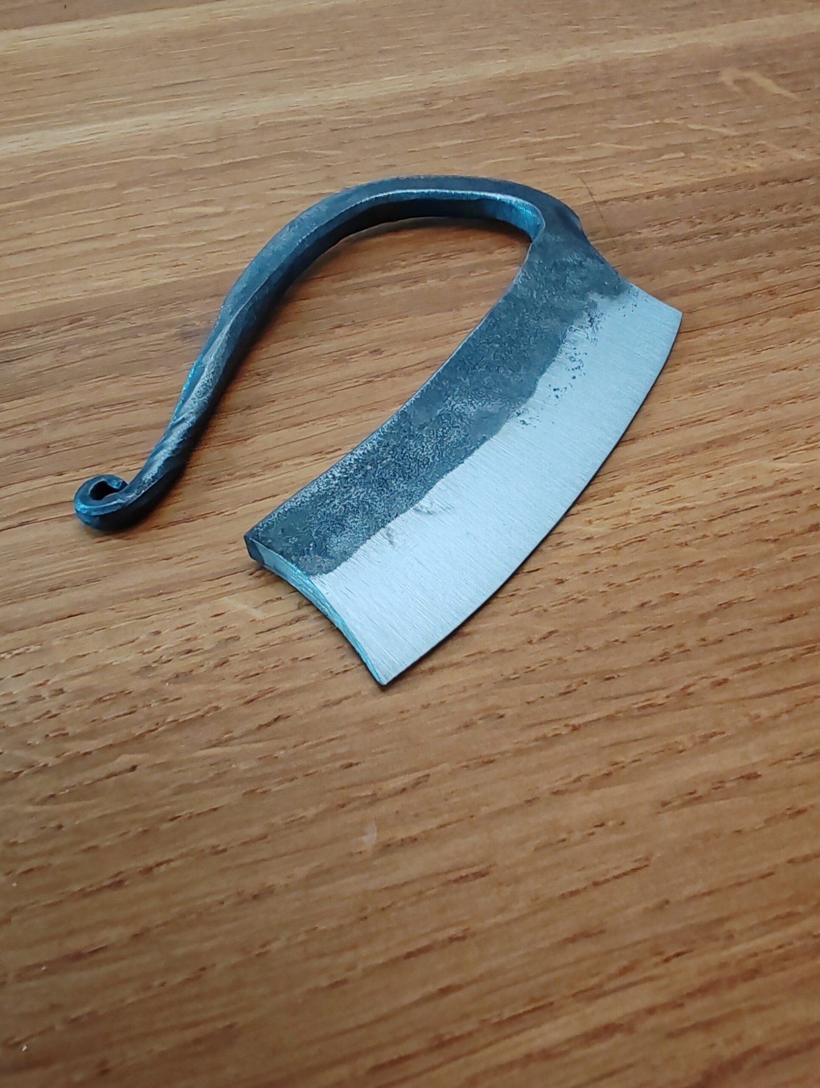 IMG_20260215_161138_3048x4046