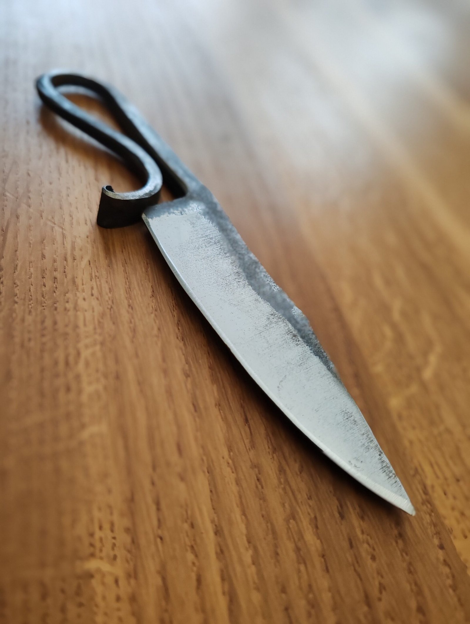 IMG_20260215_161426_3048x4046