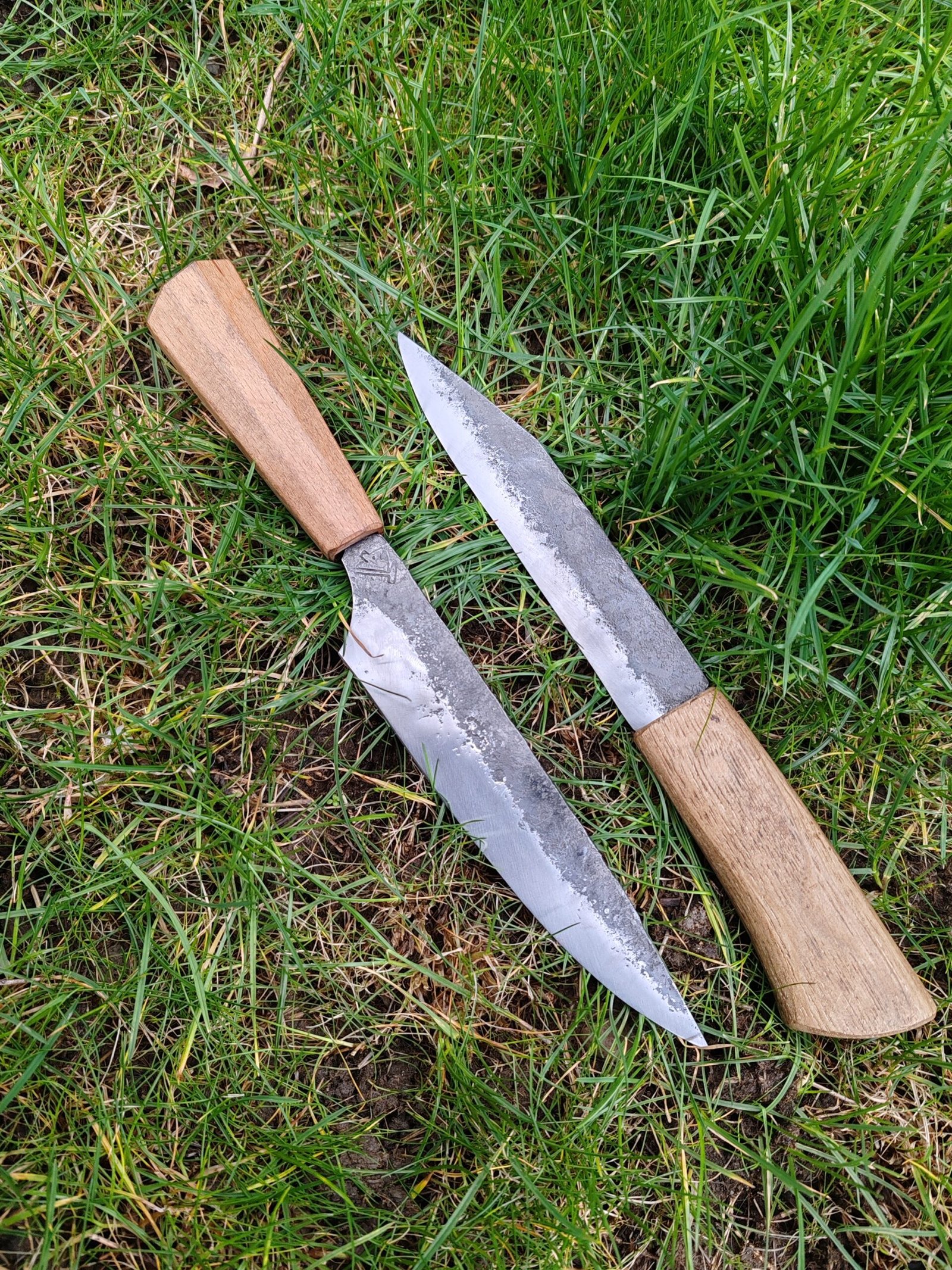 IMG_20260217_132456 IMG_20260217_132456