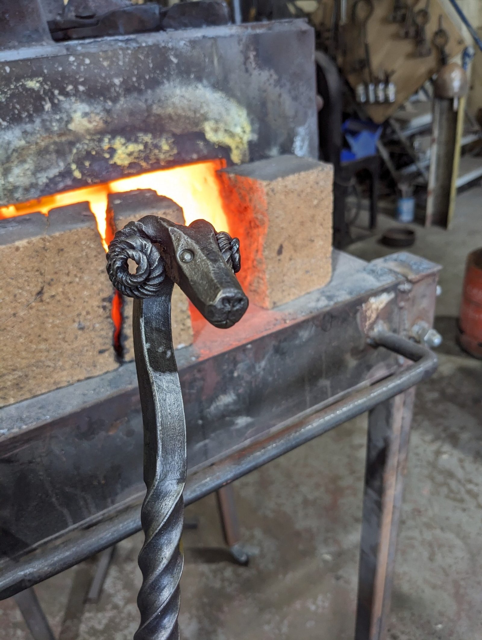 PXL_20240203_124440323_3048x4046