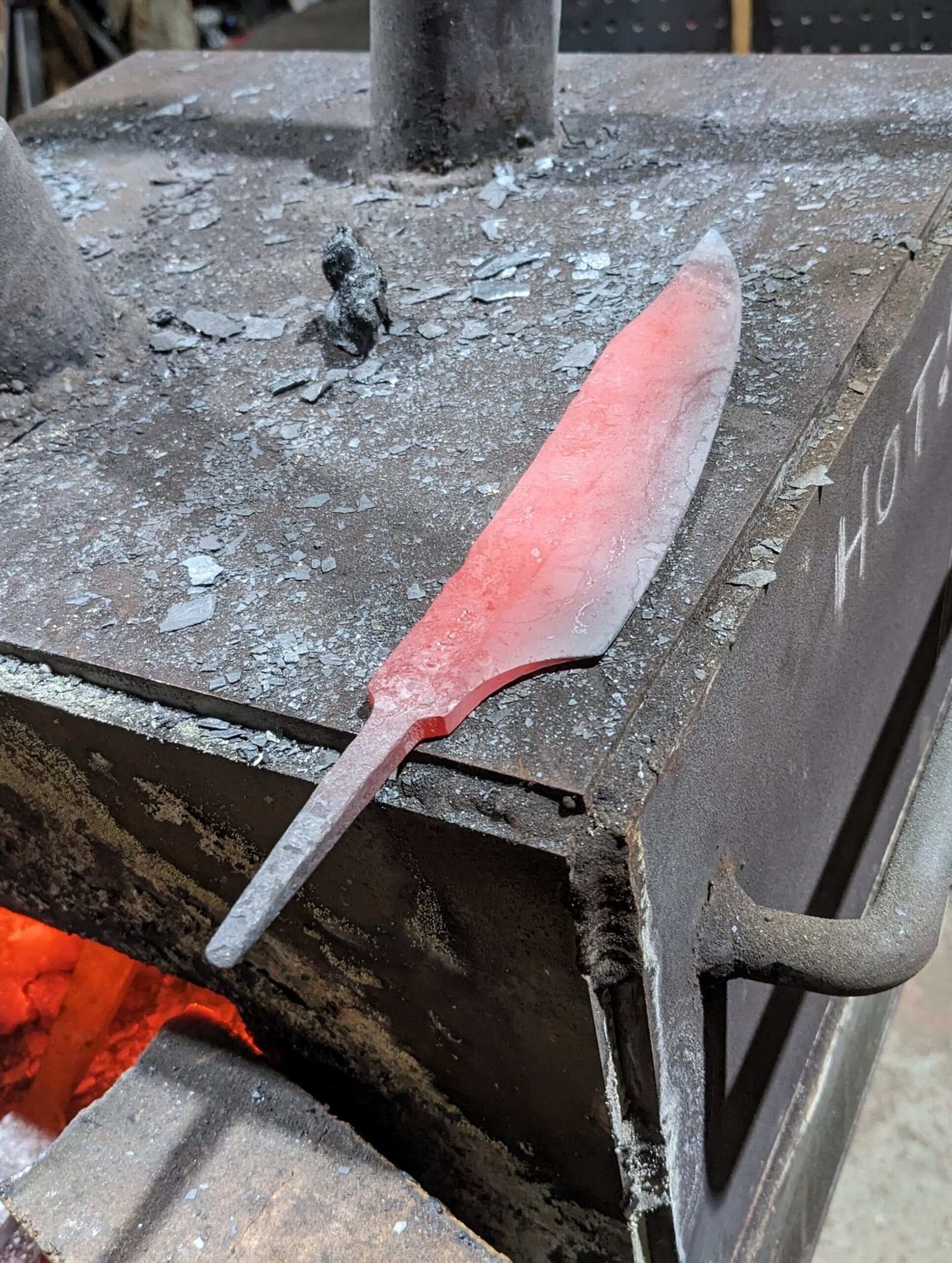 resized_3048x4046_PXL_20231201_152149215 resized_3048x4046_PXL_20231201_152149215