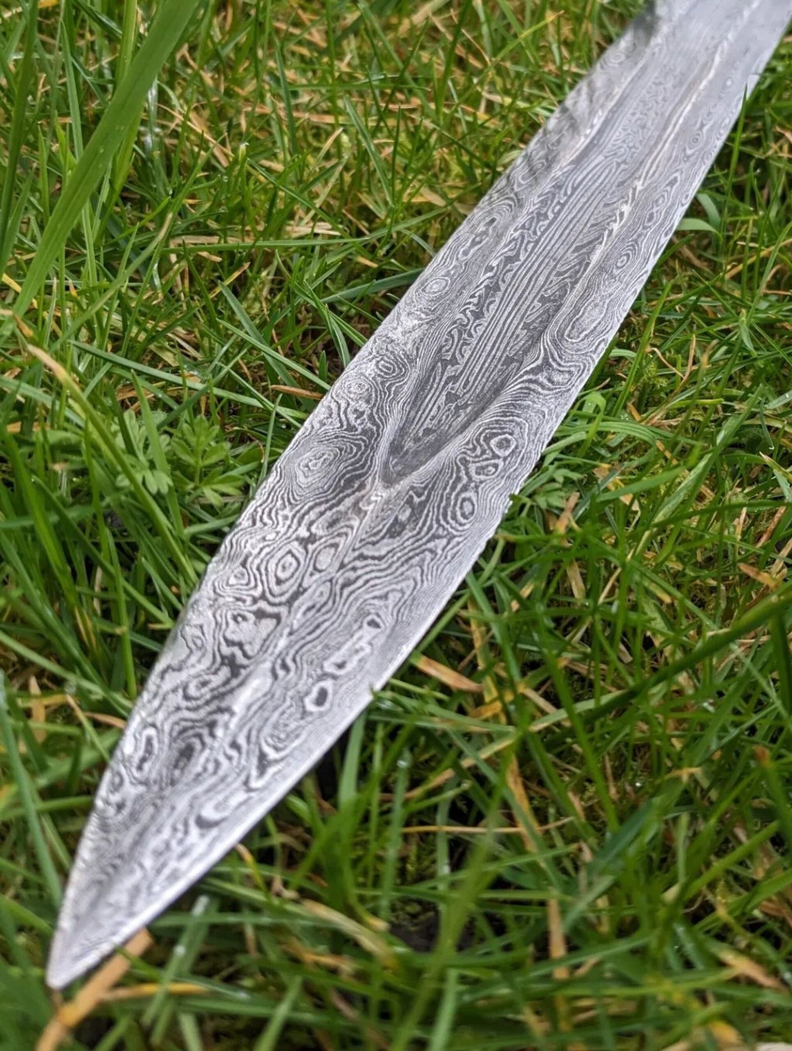 resized_3048x4046_tip_kept